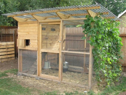 coop from the davis enterprise yolo county news chicken coop by ...
